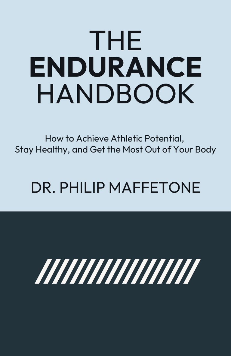 Image for "The Endurance Handbook" philosopher note