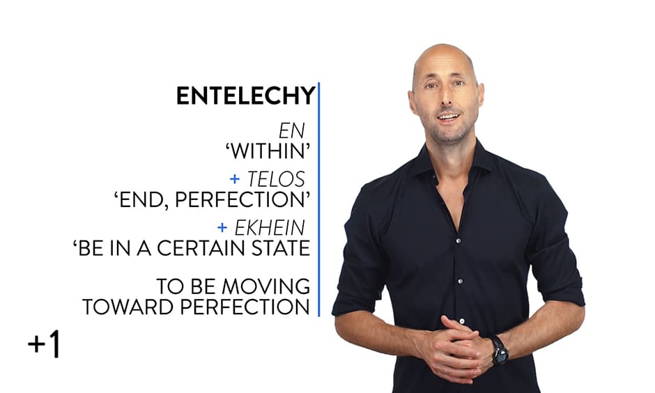 Entelechy