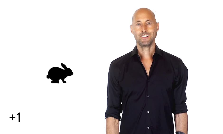 You, Me, Rabbits…