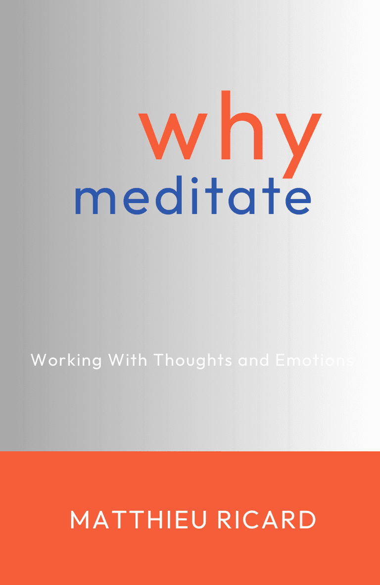 Image for "Why Meditate?" philosopher note